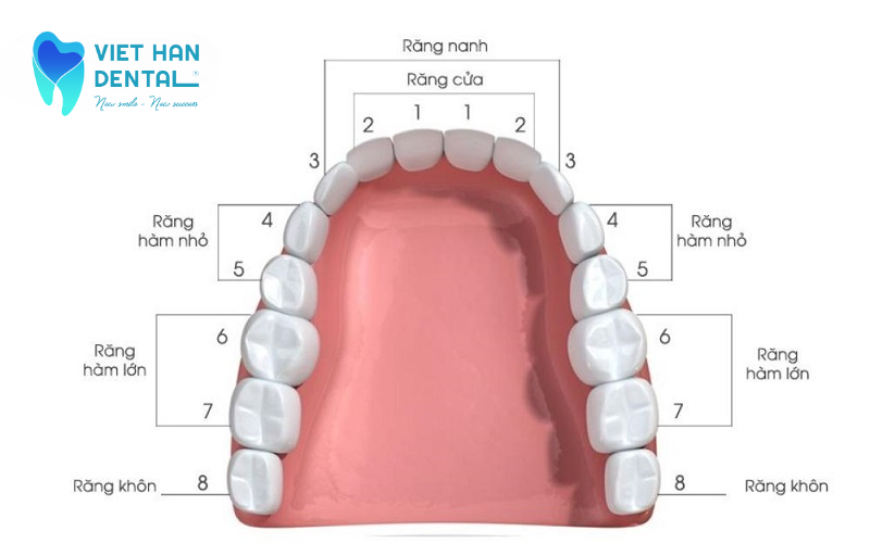 Ảnh Content Seo (8)