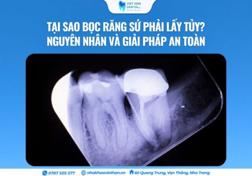 ảnh Bìa Website (49)