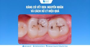 Cover Web (19)