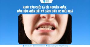 Cover Web (17)