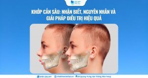 Cover Web (19)