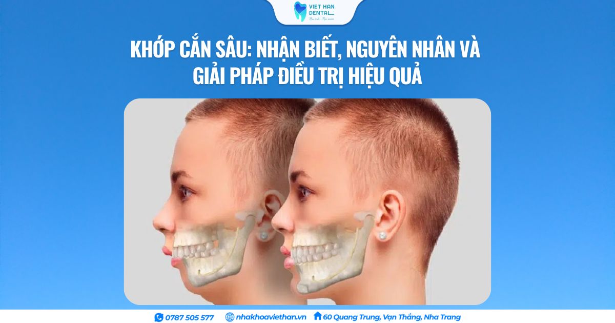 Cover Web (19)