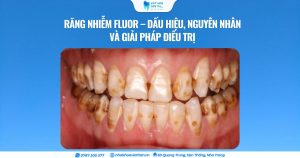 Cover Web (22)