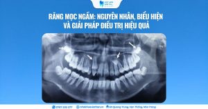 Cover Web (25)