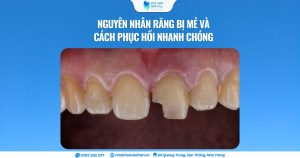 Cover Web (26)