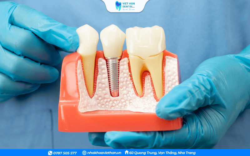 Vitamin A kích thích sự tăng sinh và đổi mới tế bào biểu mô