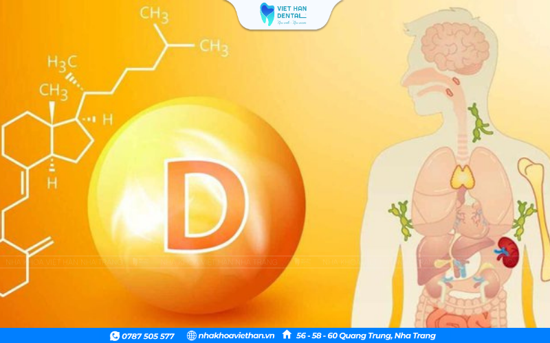 Thiếu hụt Vitamin D và Canxi: