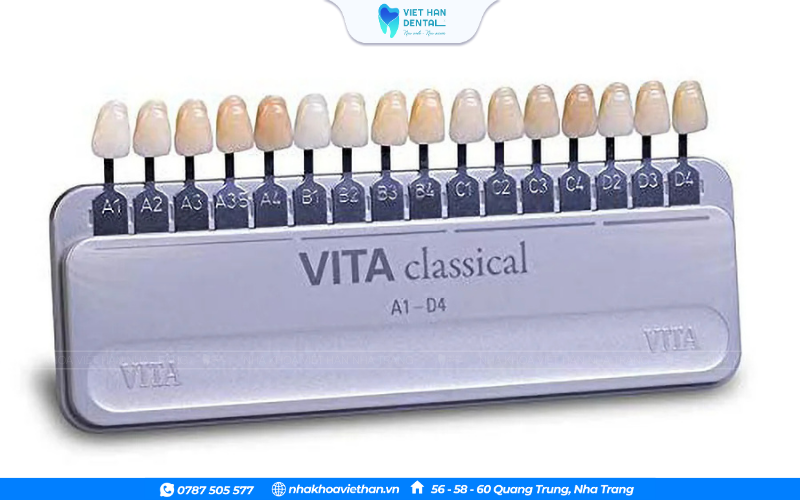 Vita Classical