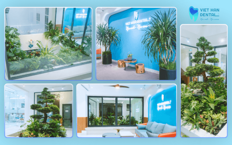 Không gian xanh "Chữa lành" tại Nha khoa Việt Hàn